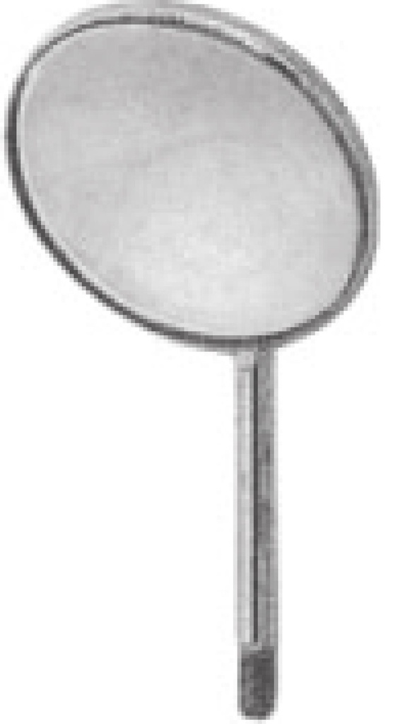 Mirror Tips Dentamaze