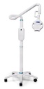 whitening device portable