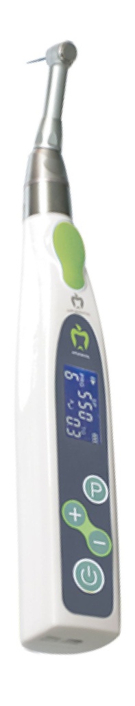 Endo Motor