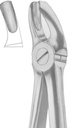 Forceps Dentamaze