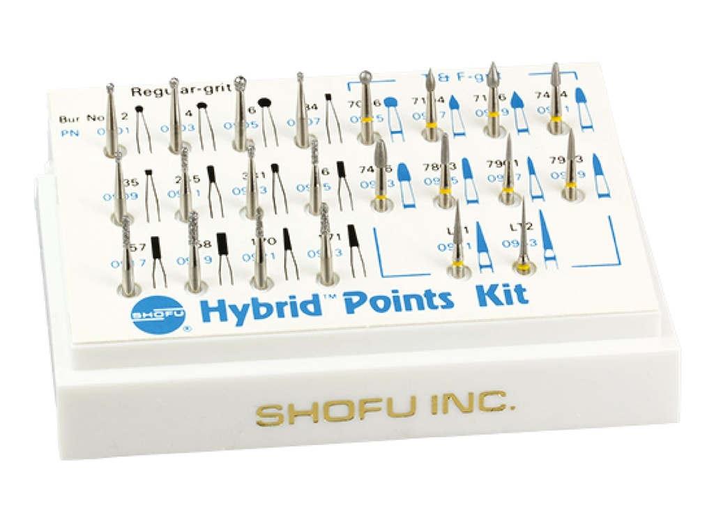 Hybrid Point Regular Kit Shofu