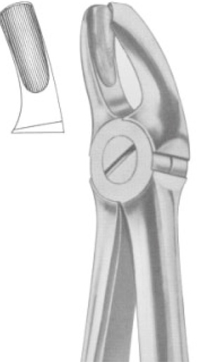 Forceps Dentamaze